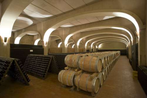 Cupramontana; Visita cantina Colonnara