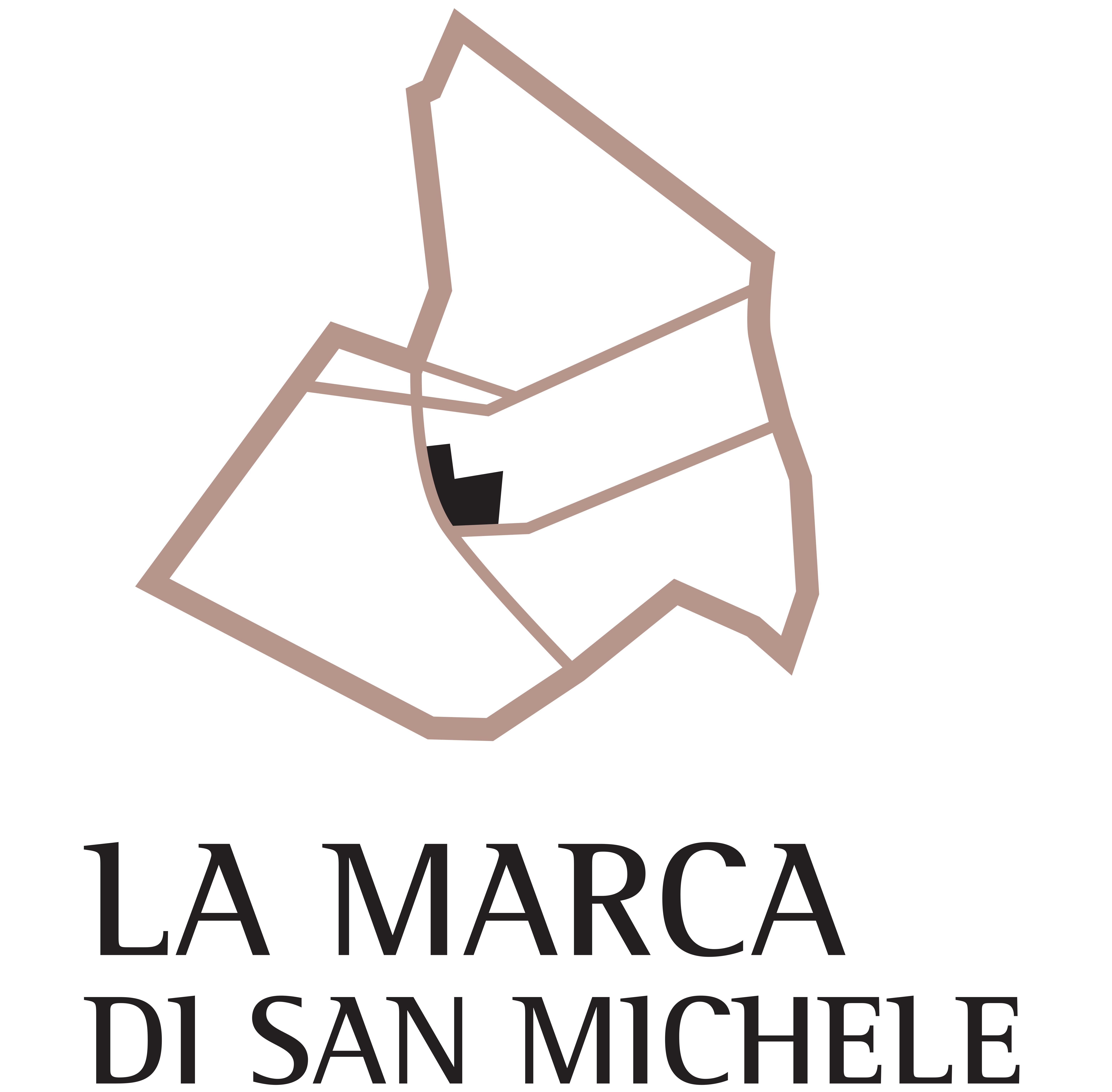Cupramontana; Visita cantina La Marca di San Michele